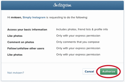 Autorizar acceso a cuenta Instagram