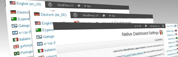 Cómo instalar WordPress en otros idiomas